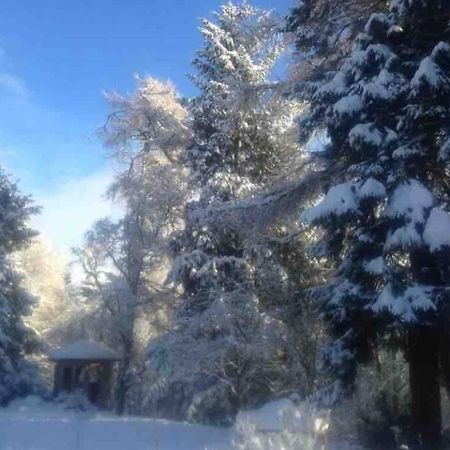 The Beeches Studio, Highlands Of Scotland Newtonmore Εξωτερικό φωτογραφία