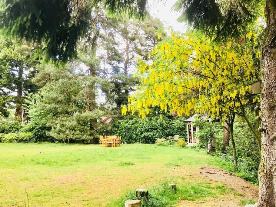 The Beeches Studio, Highlands Of Scotland Newtonmore Εξωτερικό φωτογραφία