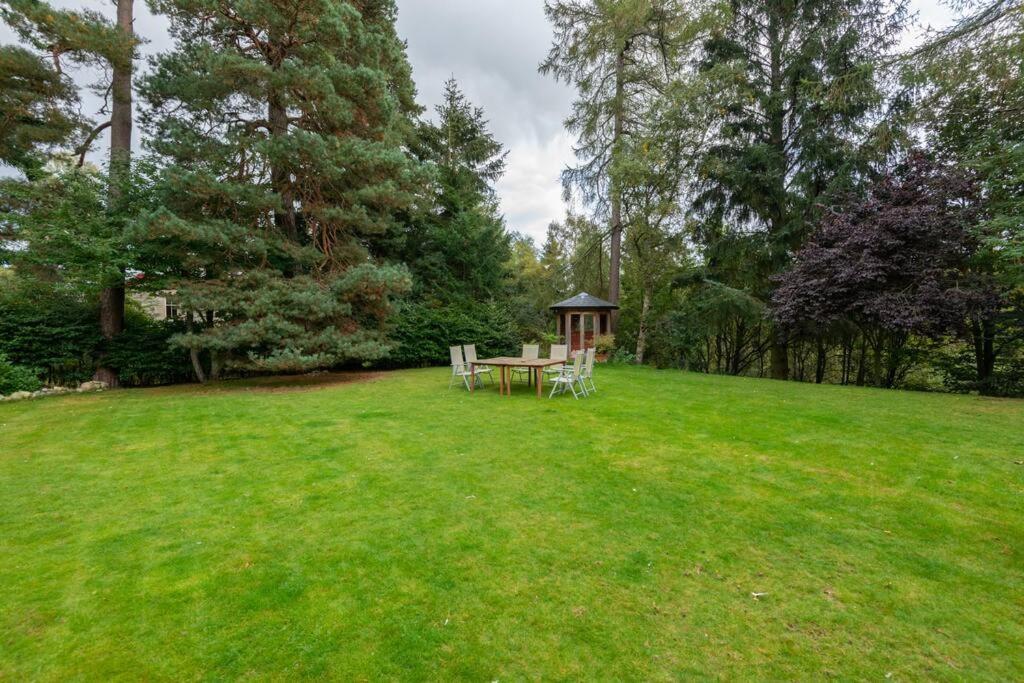 The Beeches Studio, Highlands Of Scotland Newtonmore Εξωτερικό φωτογραφία